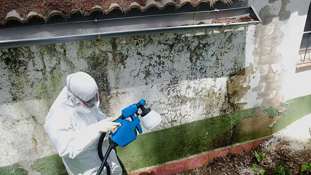 Trusted Bathroom Mold Removal service in Lexington, TN - Cheap Mold Removal